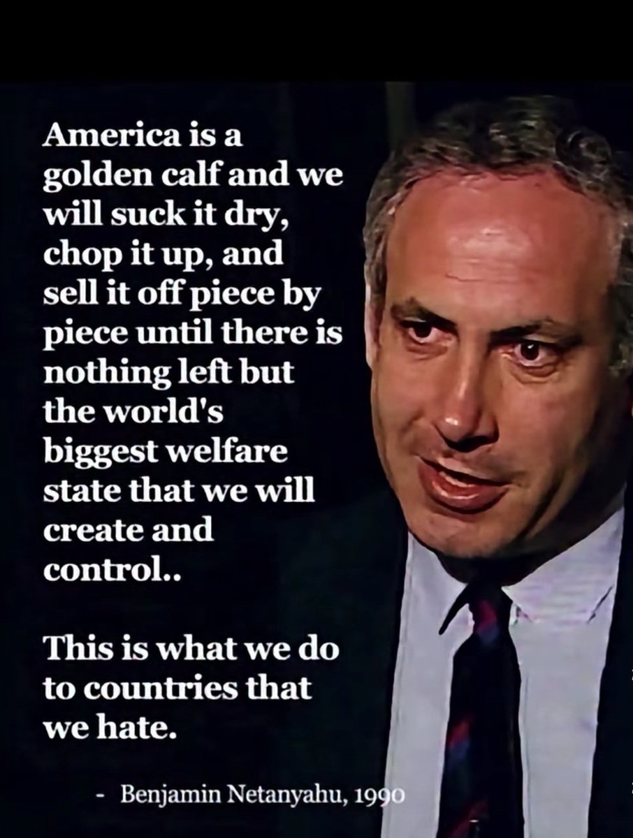 nycfranckly tweet media