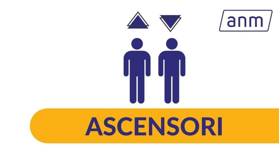 Anm - Napoli tweet media