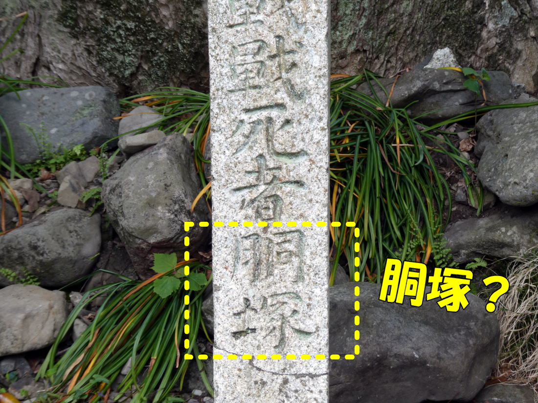 一日ひとつ城や戦国の学んだことを発信しています！（みかわのひで） tweet media