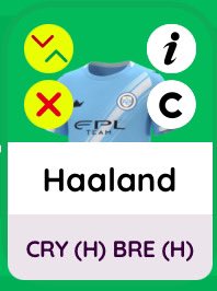 Andy Martin tweet media