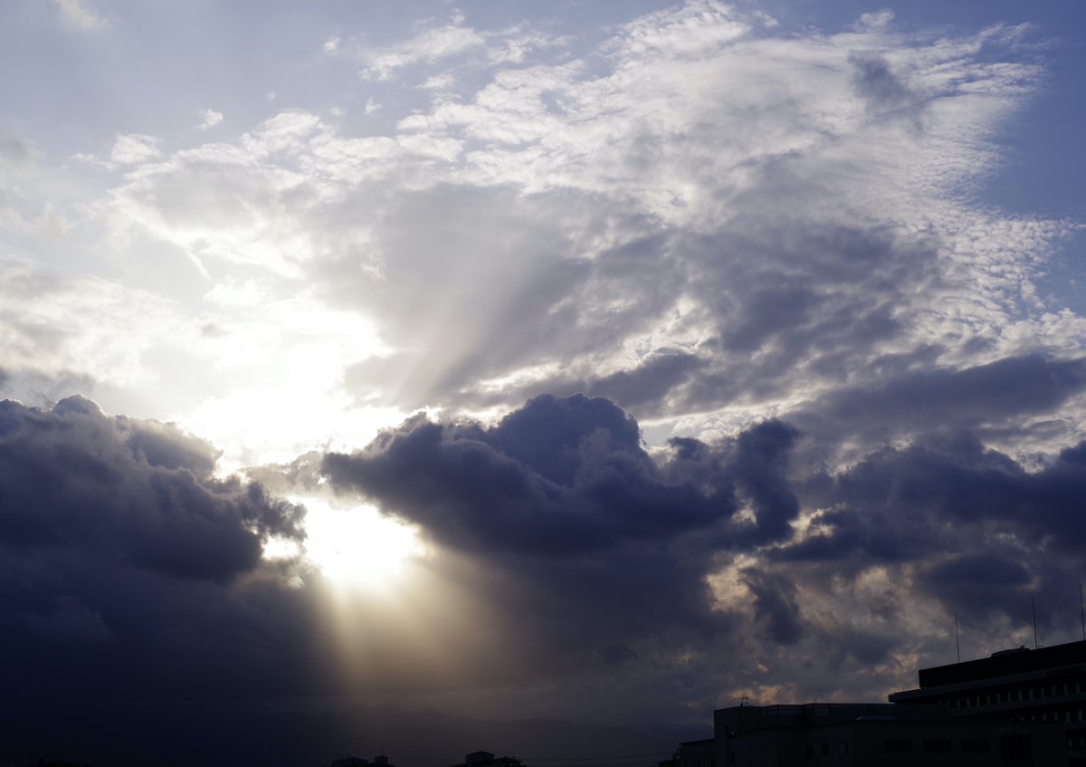 ほしかす tweet media