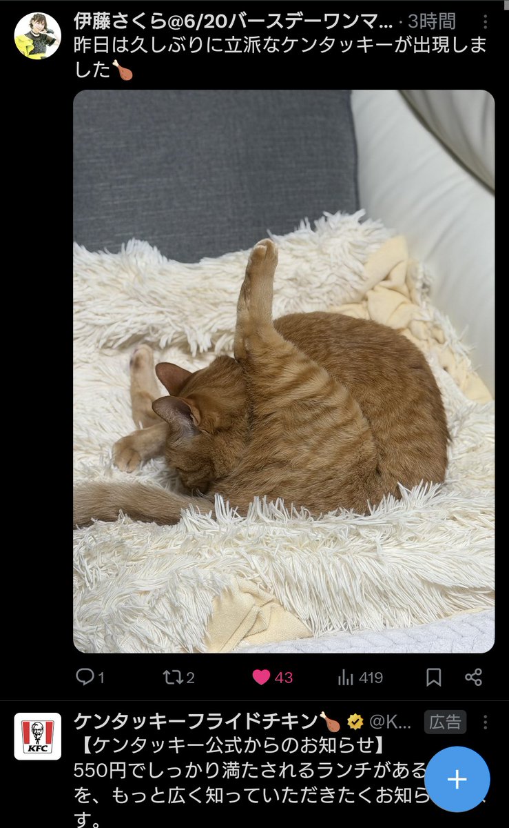 ひろっぺ☝️🎹🔥 tweet media