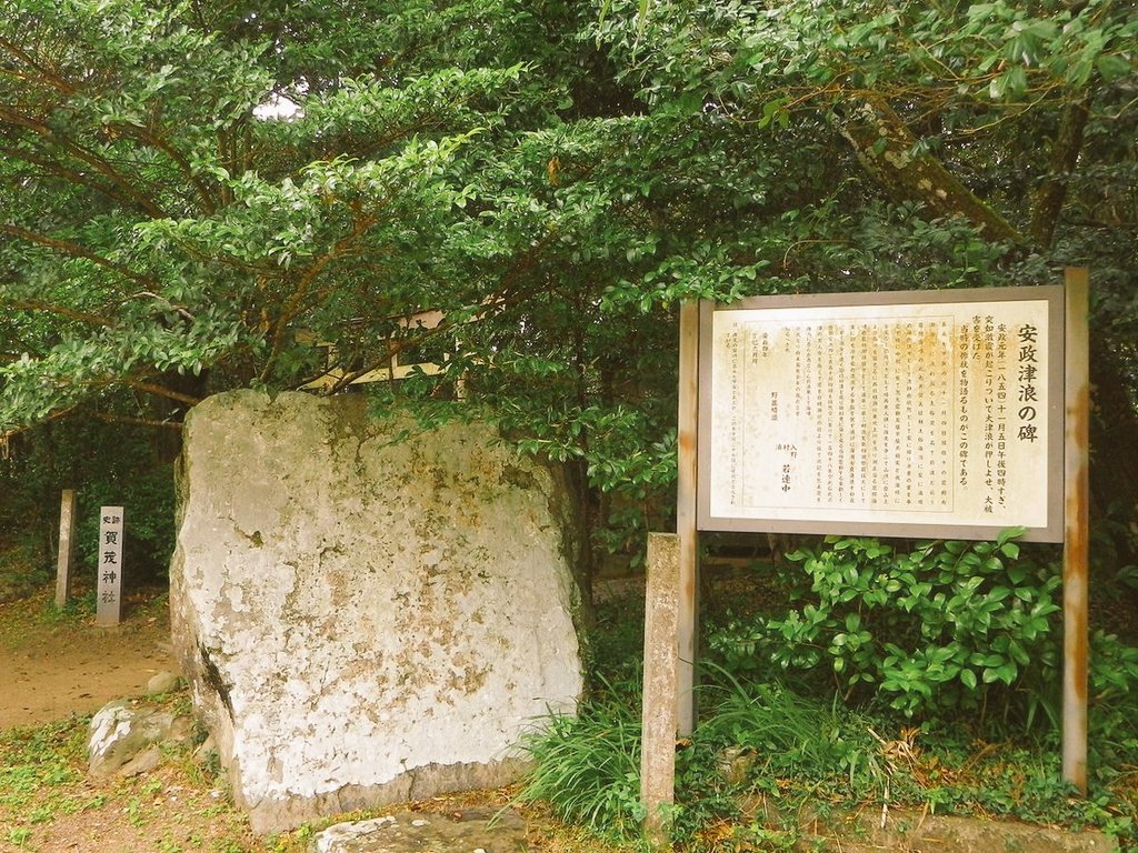 LazyLagom tweet media