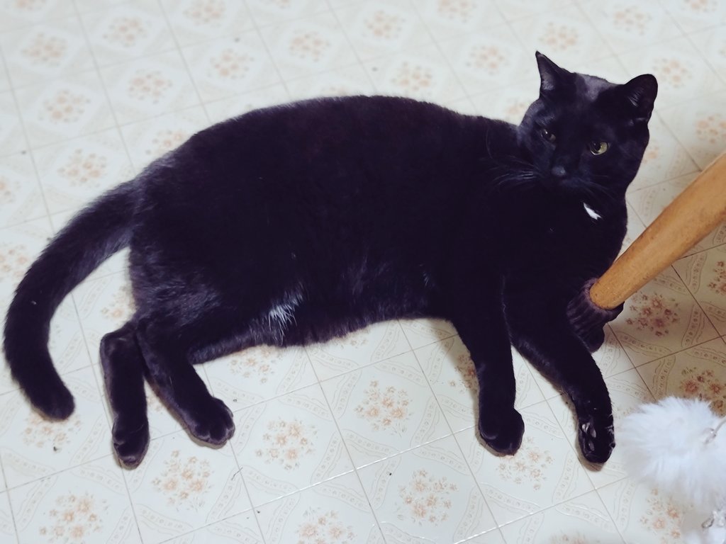 mush💀😹🌾 tweet media