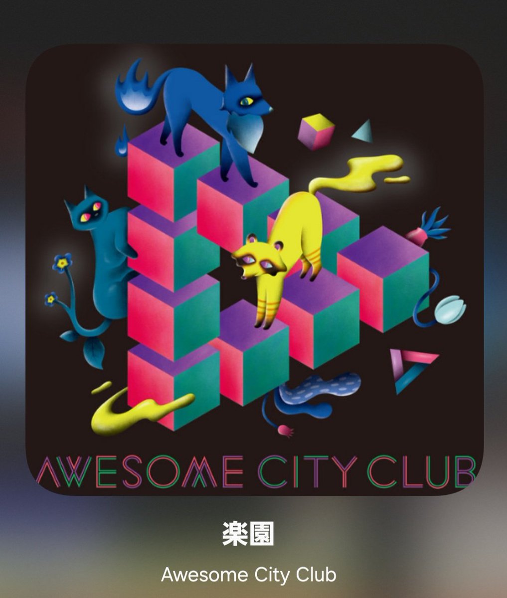 ちぃさん✿ tweet media