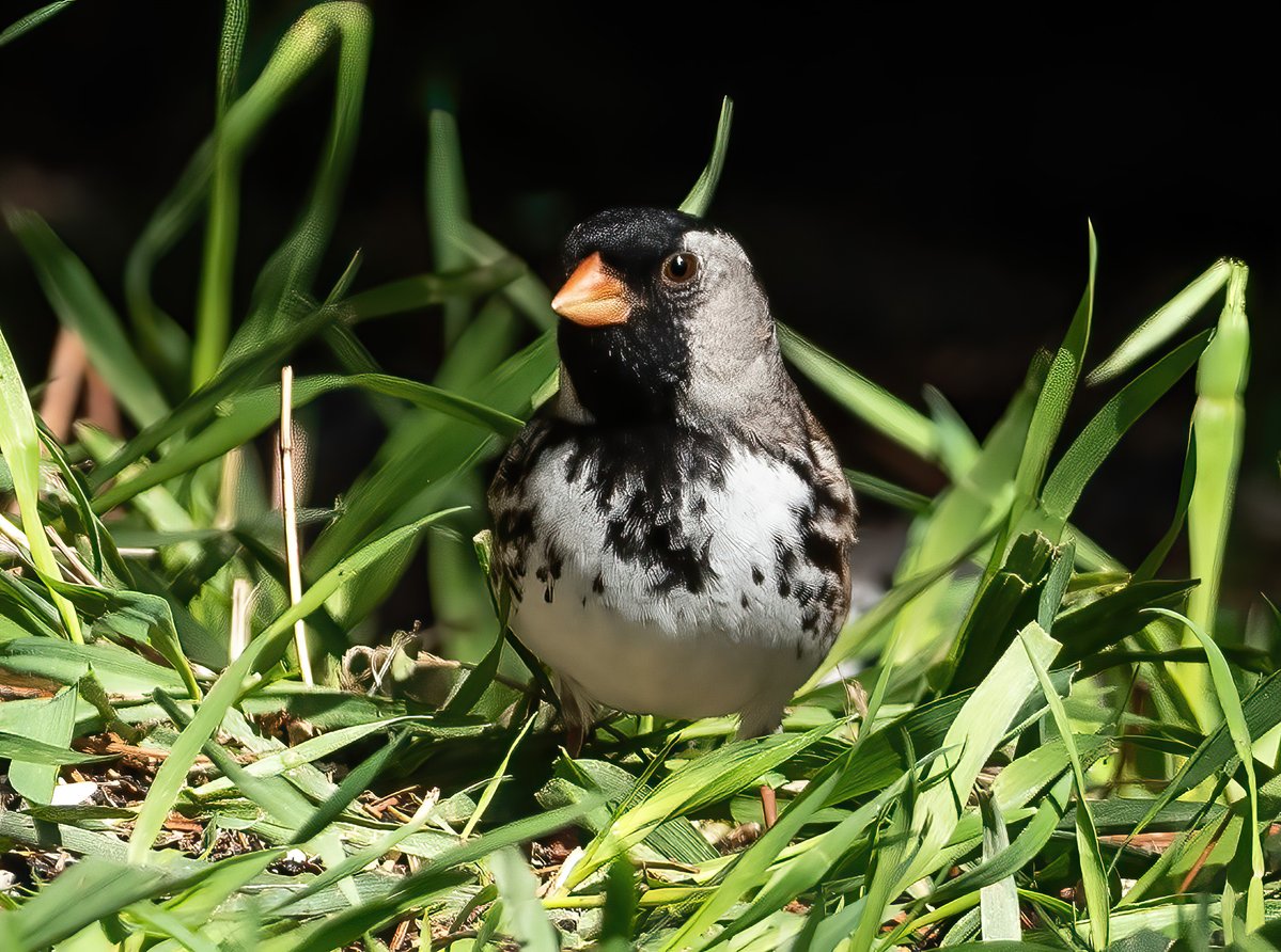 The Only James Magelk tweet media