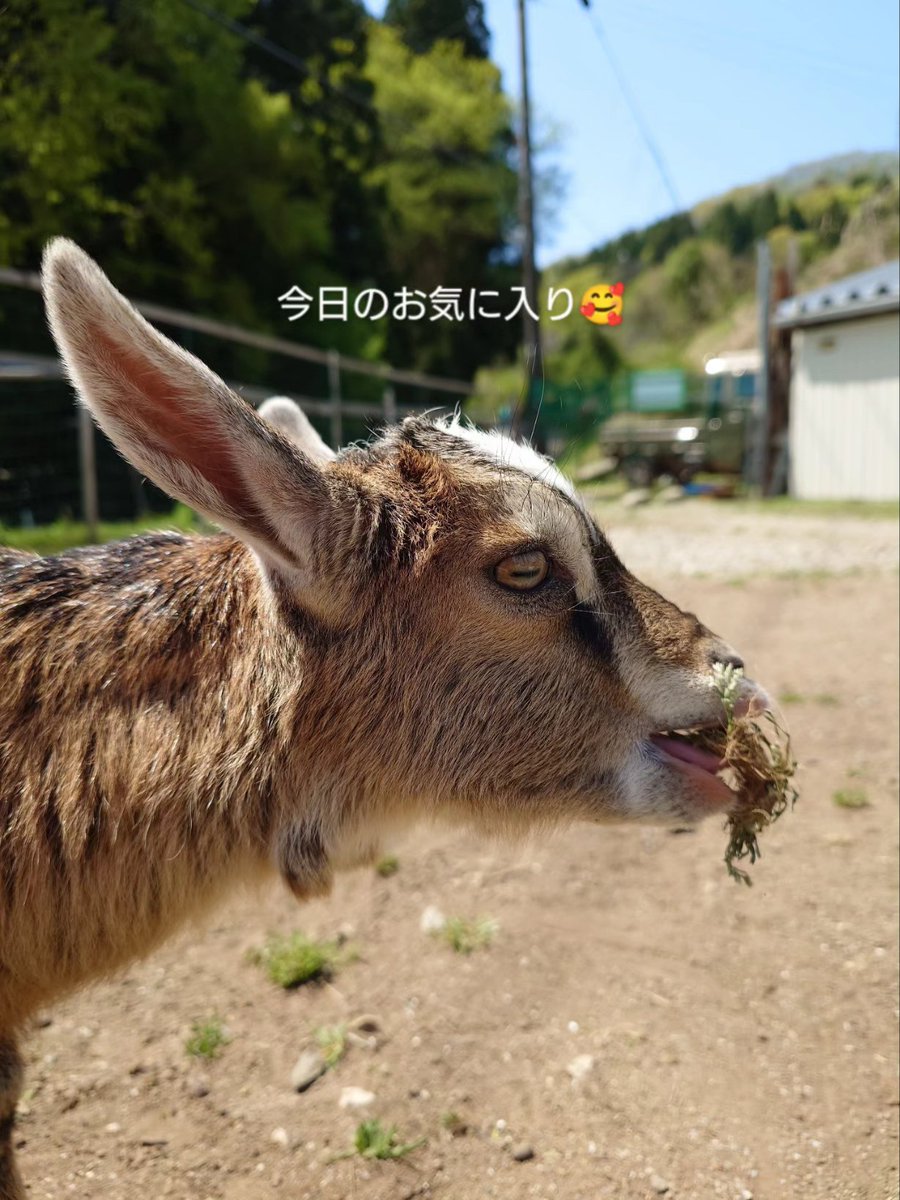暑くてバテたけど💦
癒された🥰