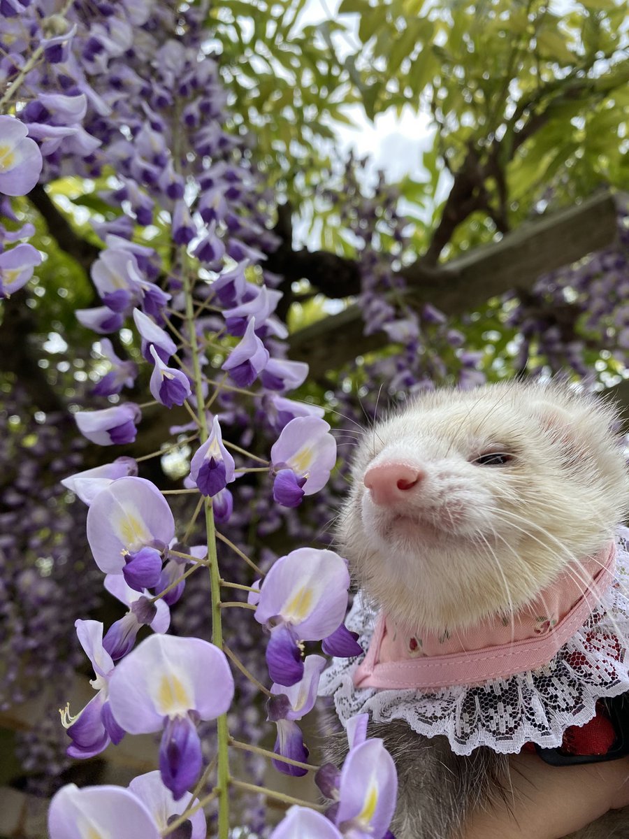 圧【あつ】 tweet media