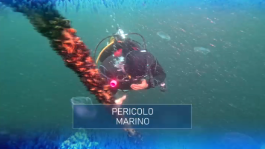 PERICOLO MARINO

Comunica con l’ #Egeo dallo stretto dei #Dardanelli, e con il #MarNero tramite il #Bosforo. Le difficoltà nel ricambio delle acque minacciano le forme di vita del #MarDiMarmora, in #Turchia. 

tinyurl.com/y2ncehua

<a href="/TgrRai/">Tgr Rai</a>  <a href="/RaiNews/">RaiNews</a>