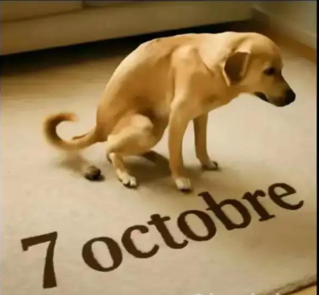 de_pas87512's tweet photo. @Damour1975 https://t.co/ygVu2C7jgD