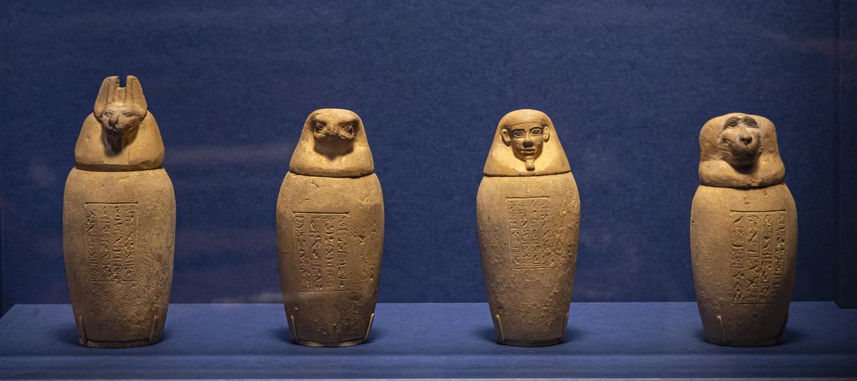 古代エジプト展 大阪会場】 🦅古代エジプト人と動物たち🦅～ハヤブサ編