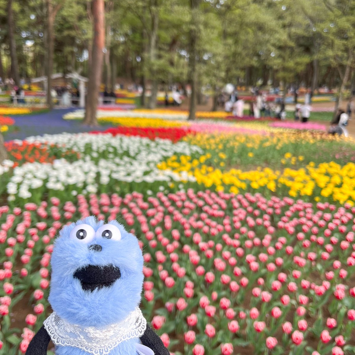 スンスンとミミ＊ tweet media