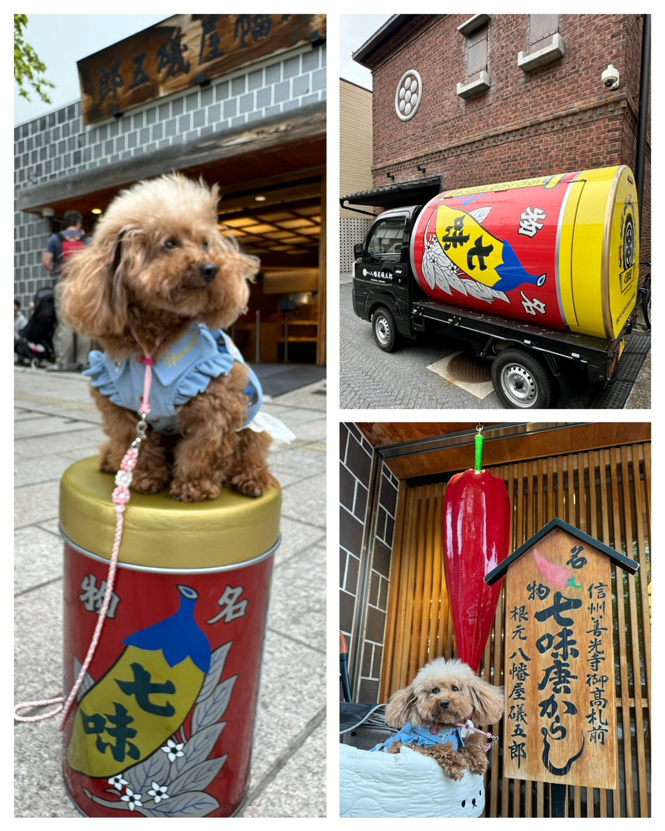 ちかりんご tweet media