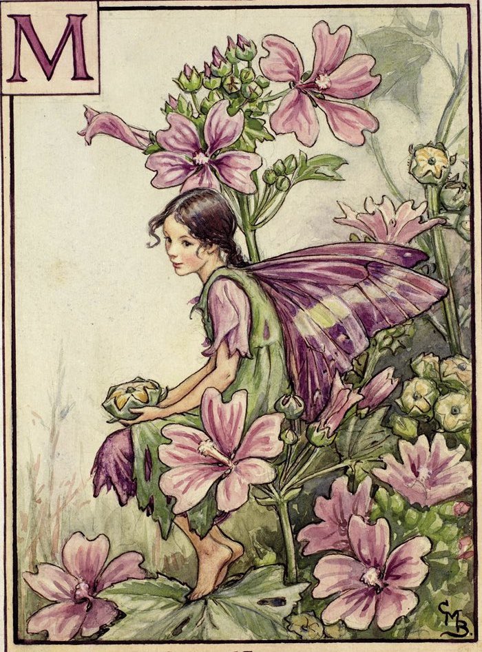 Maude Frome tweet media