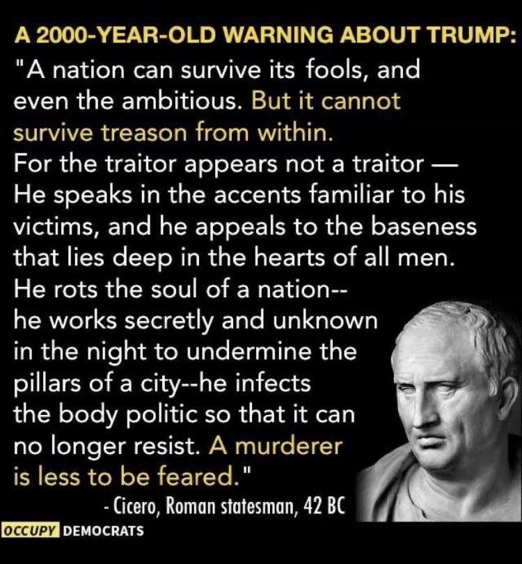 Suzie rizzio tweet media