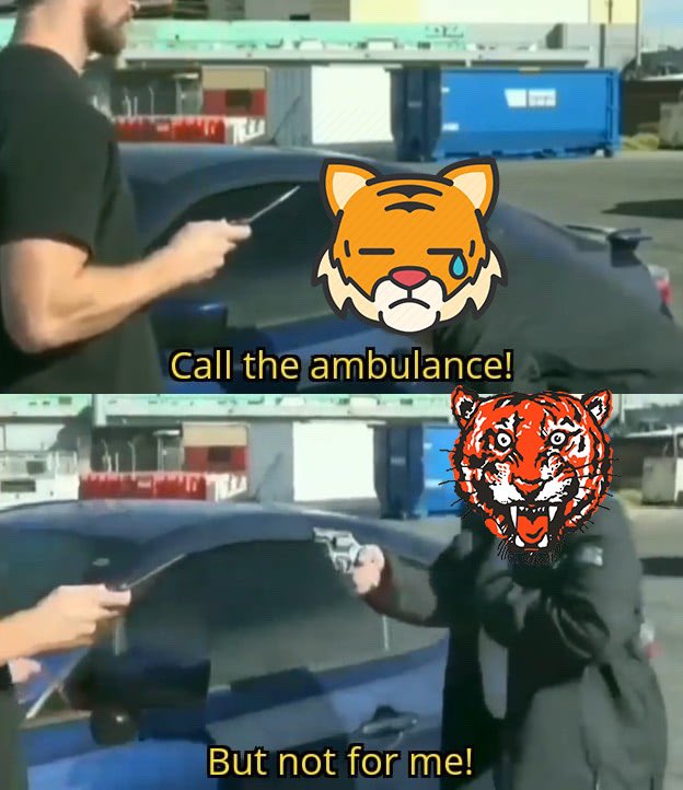 Kittos 4 Campbell tweet media