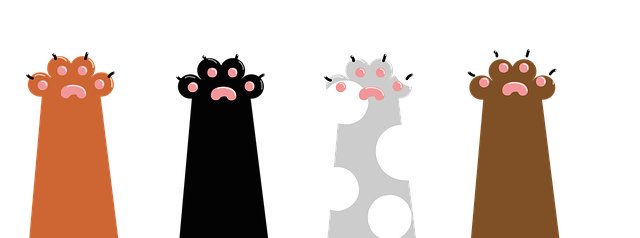 Teddy Hall tweet media