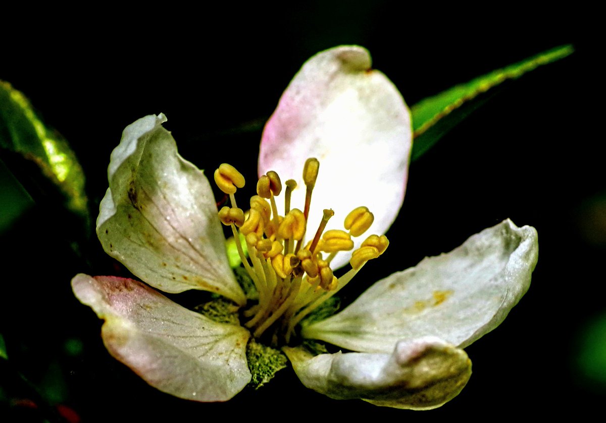 A Derbyshire lads photography tweet media