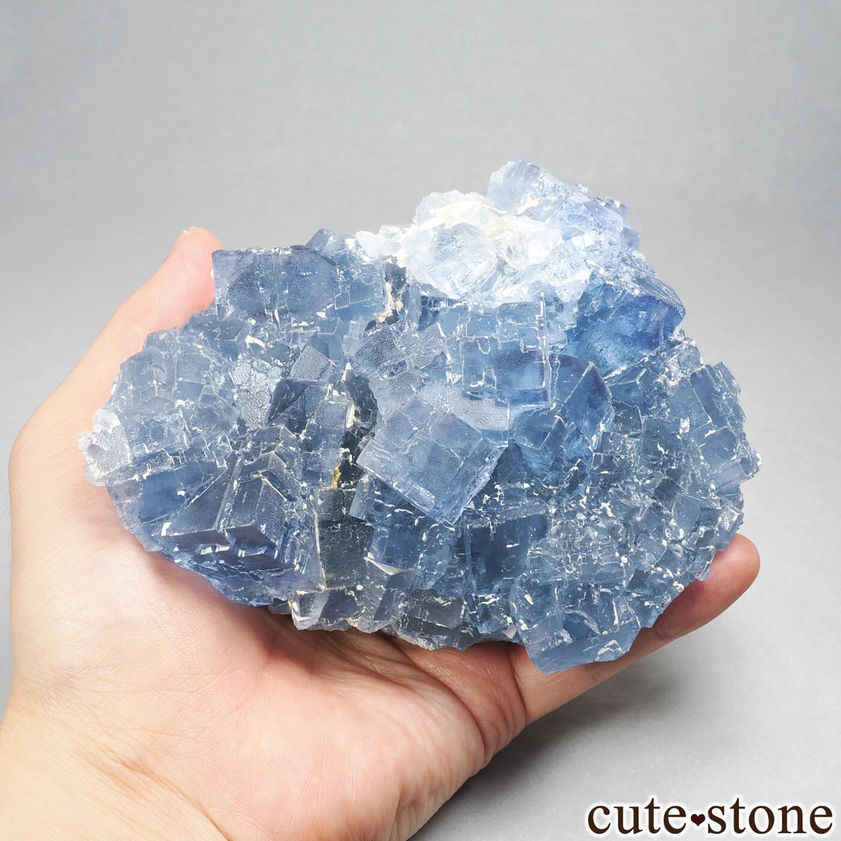 cute stone tweet media