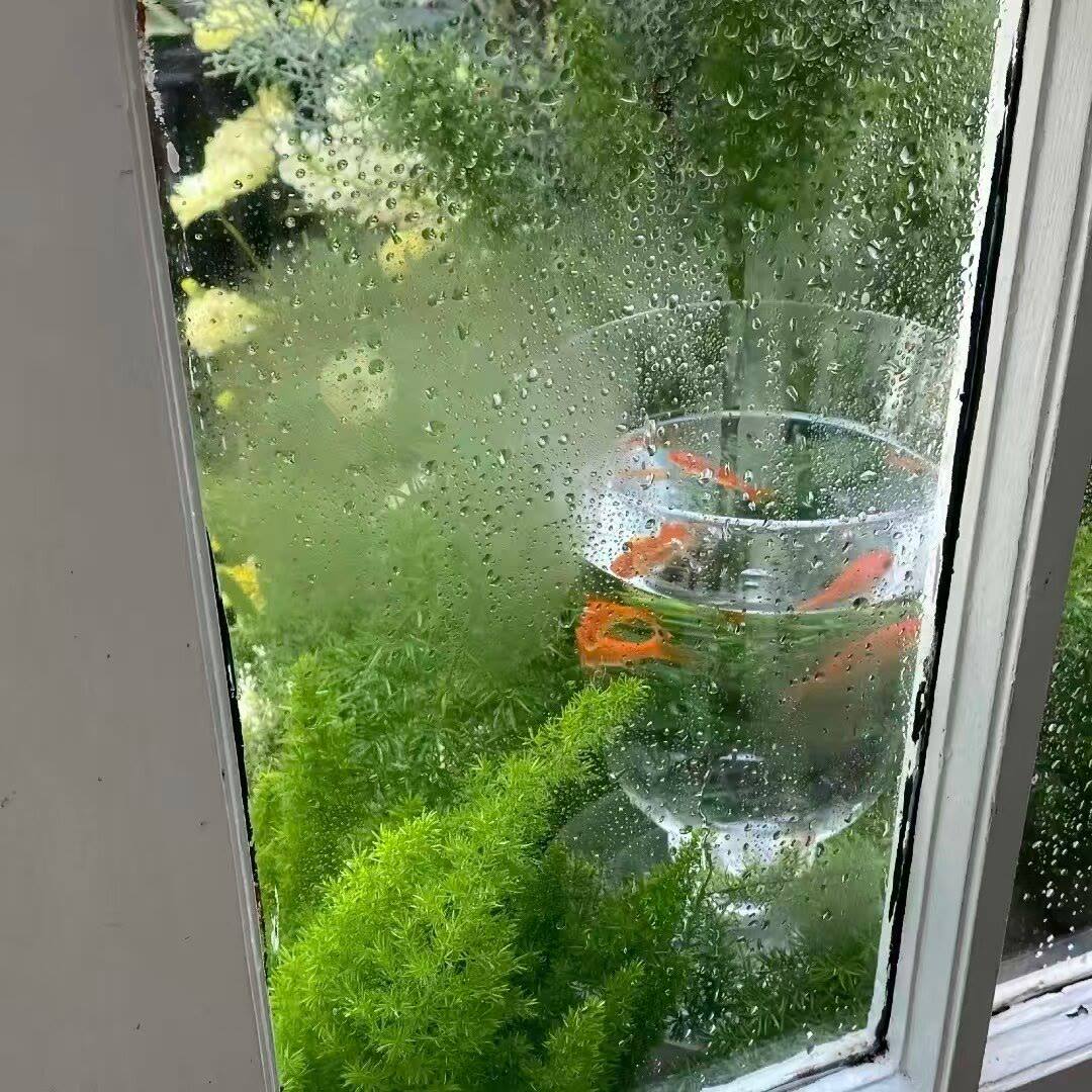 AlvaradoCh68616's tweet image. I don’t have everything figured out, but I’m okay with that. life feels softer when I stop trying to control every little thing ✨😊🌿 #mindset #calmvibes