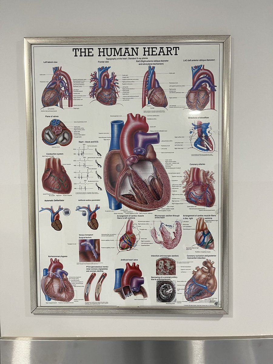 Srce je tu da pumpa!