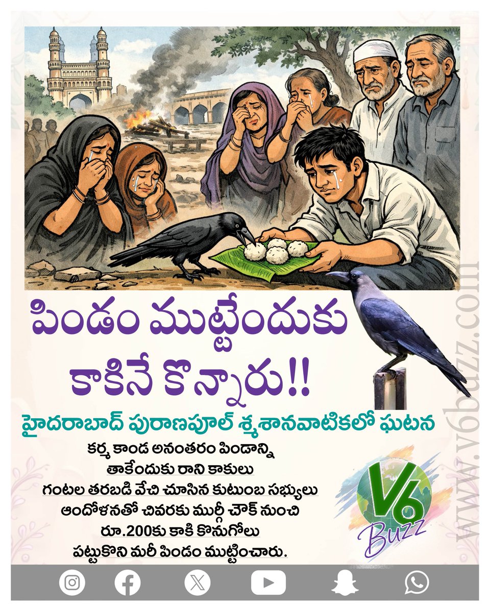 V6News's tweet image. పిండ ప్రదానం దారి తప్పుతోంది.. బలవంతంగా పట్టుకొచ్చి మరీ ముట్టిస్తున్నారు..
#puranapoolcrematorium #hyderabad #Crow #crowpurchased #crowpurchased200 #Pinda #v6News #v6 #v6velugu #v6buzz