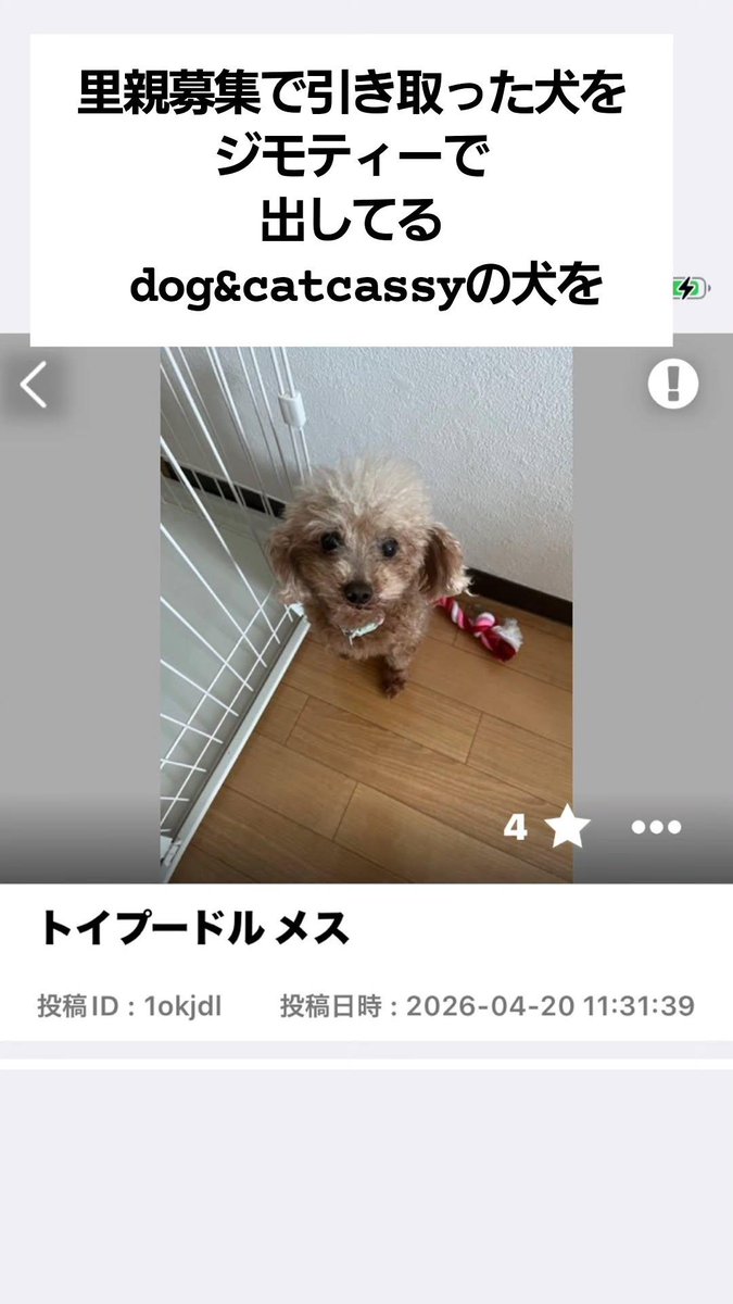 momo Sugar tweet media