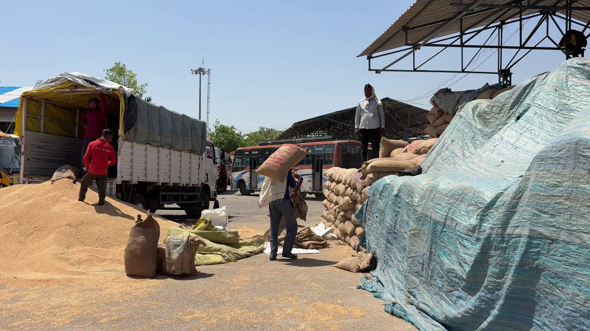 NewsPotliEng's tweet image. In Uttar Pradesh, farmers can now sell wheat at govt. procurement centres without a farmer registry. The previous system has been reinstated with immediate effect, following directions from Yogi Adityanath.

#WheatProcurement #Farmers @myogiadityanath