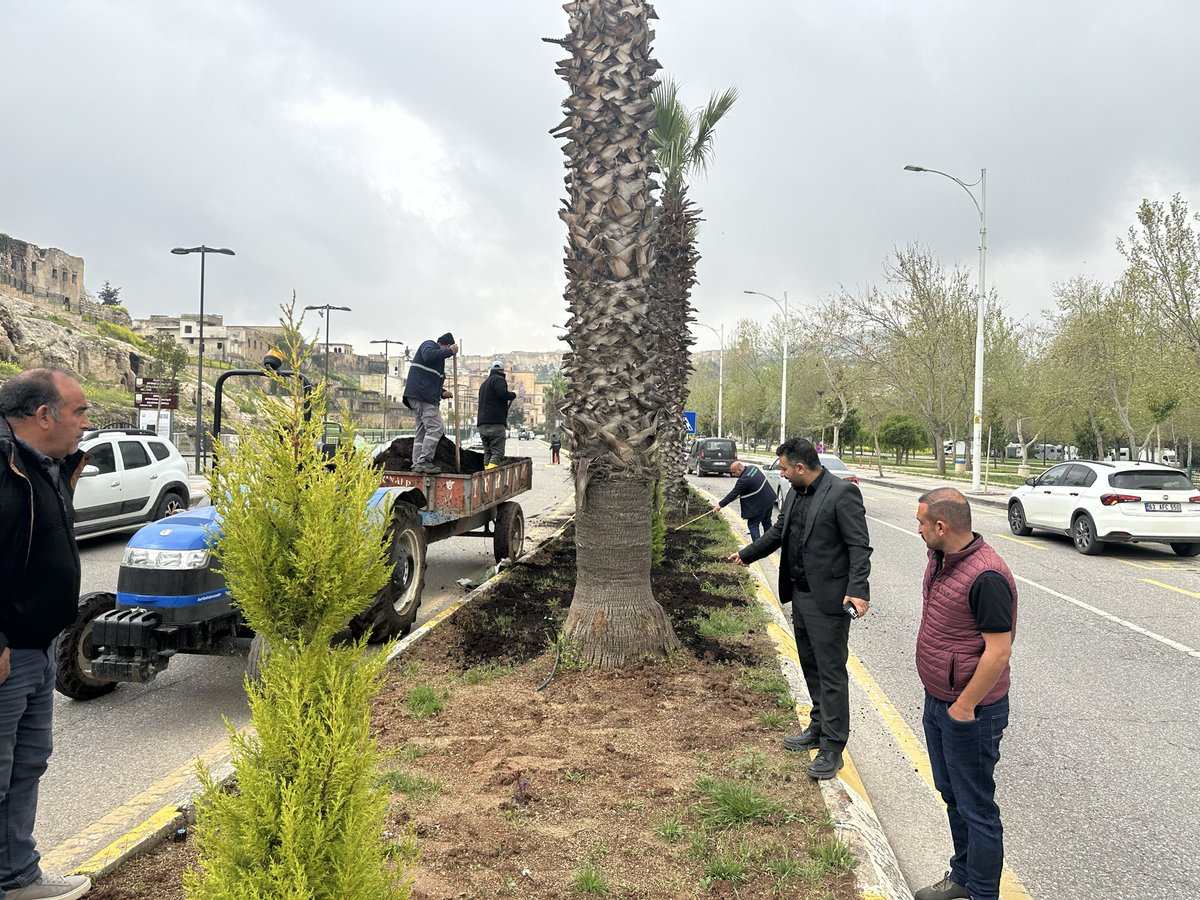 ŞBB PARK VE BAHÇELER 🇹🇷 tweet media