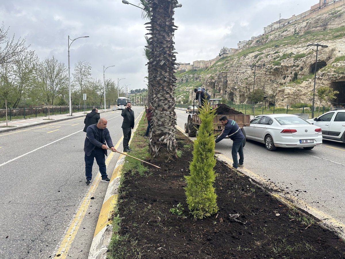 ŞBB PARK VE BAHÇELER 🇹🇷 tweet media