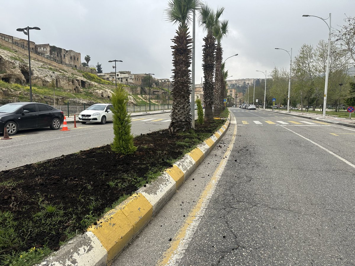 ŞBB PARK VE BAHÇELER 🇹🇷 tweet media