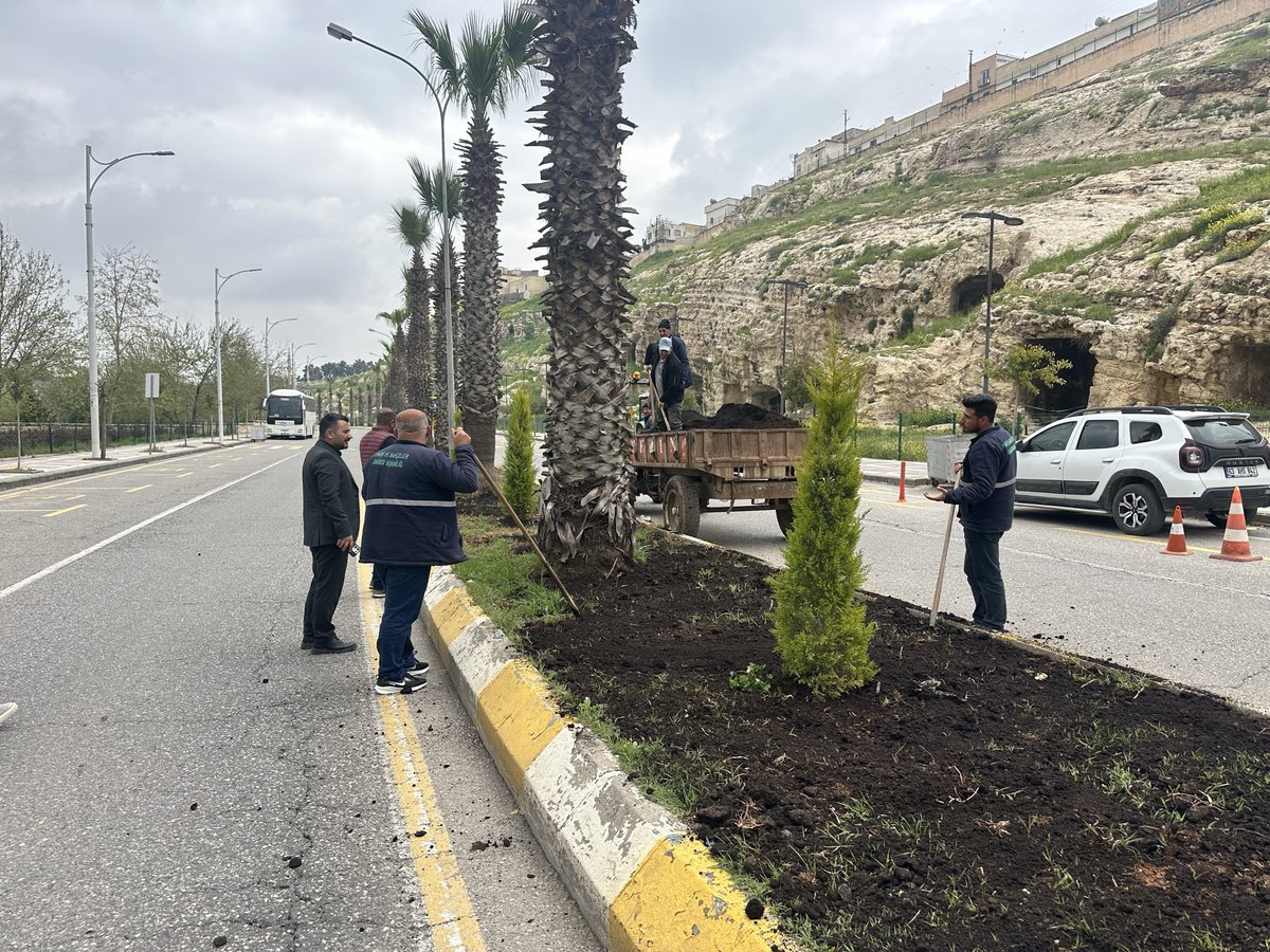 ŞBB PARK VE BAHÇELER 🇹🇷 tweet media