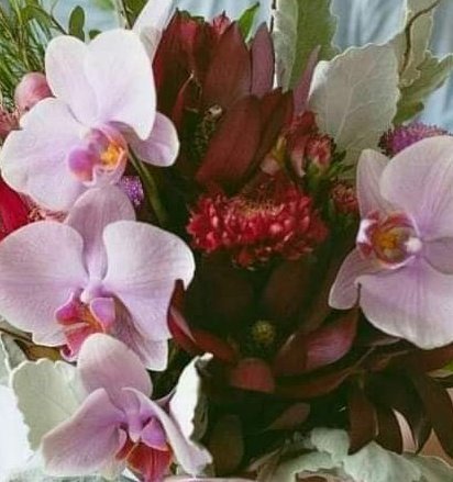 #عاشق_بحر_الخيال 🇵🇸🗝️ tweet media