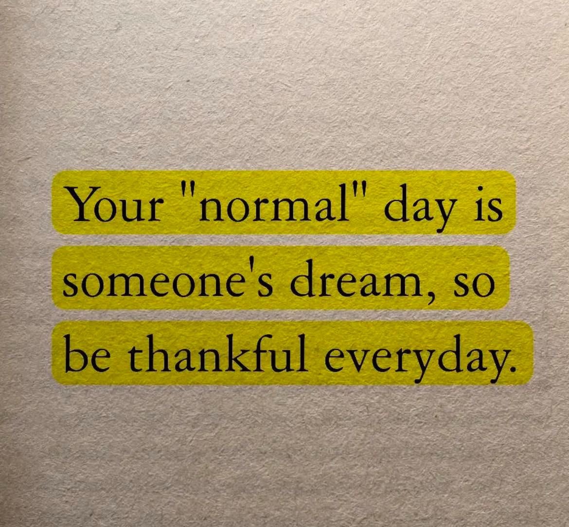 Iamveektoria.base.eth 🙂‍↔️🌳 ✠ tweet media