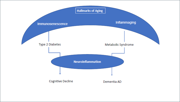 JGG_MDPI's tweet image. #Gerontology #Geriatrics #JGG

✨🆕 Insights into "Common neurodegenerative pathways in brain aging, cognitive decline, type 2 diabetes &amp;amp; metabolic syndrome" by Angela Marie Abbatecola et al.  

👉 mdpi.com/2499-6564/72/1…