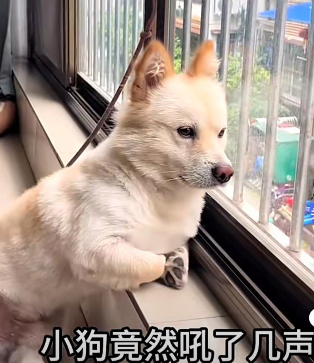 Слава Кравченко tweet media