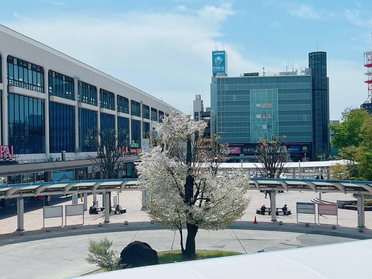 あーちゃん💙🌹 tweet media