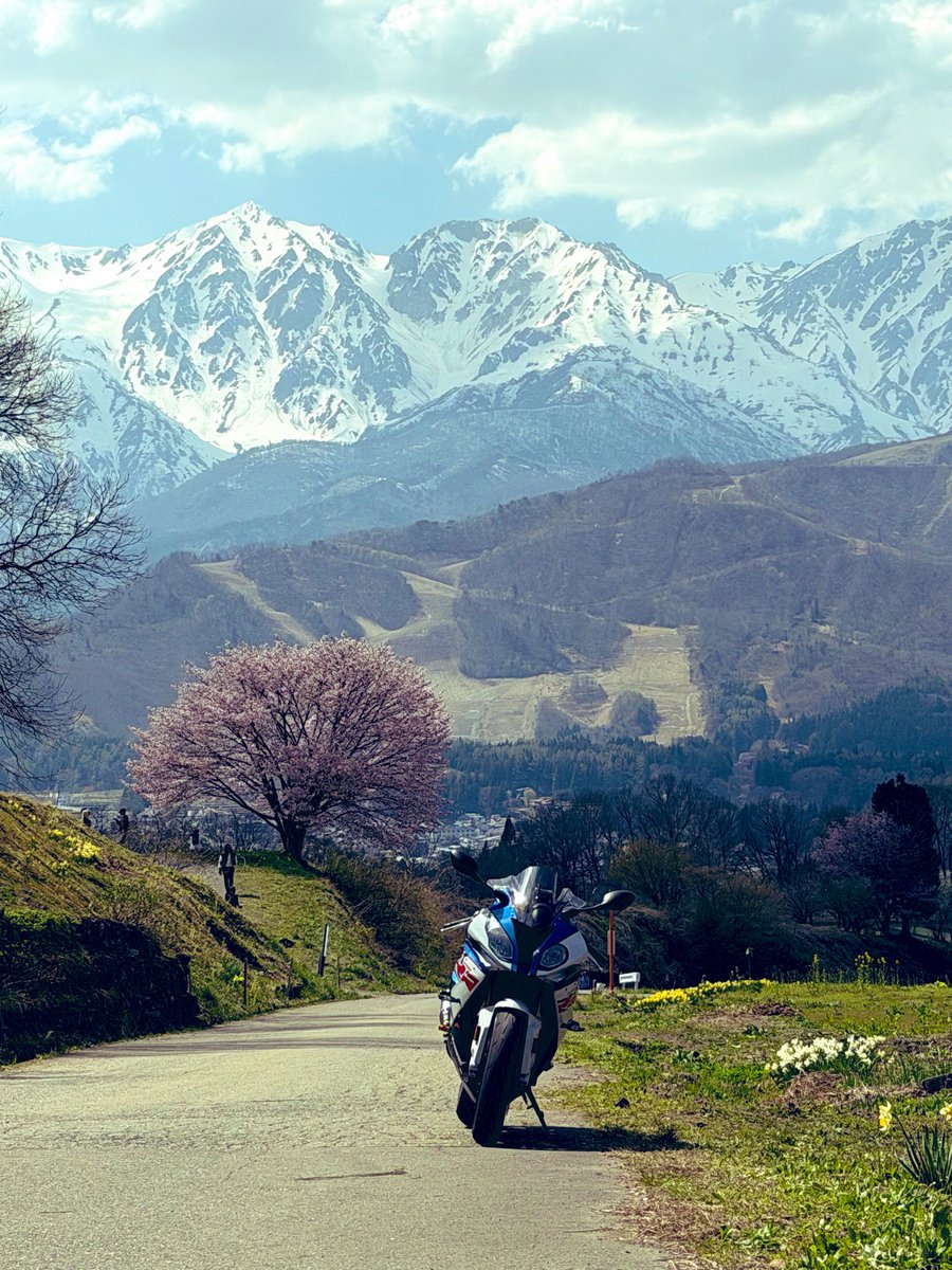 シトレ tweet media