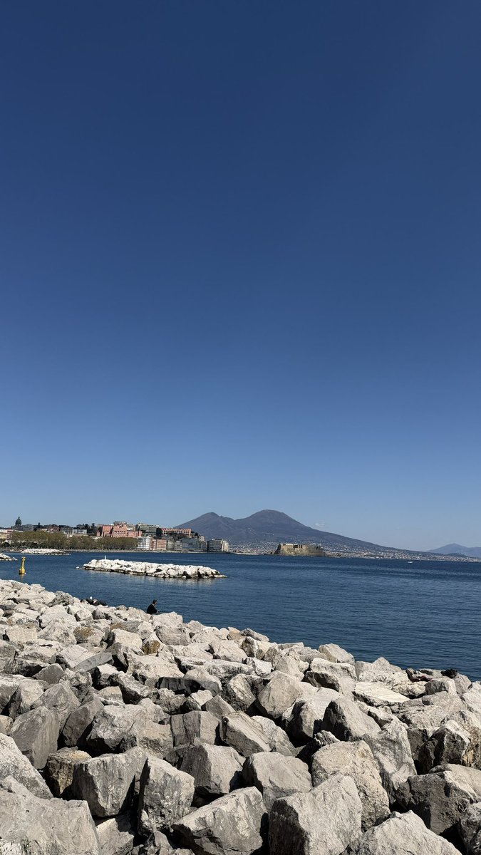 Anna Maria tweet media