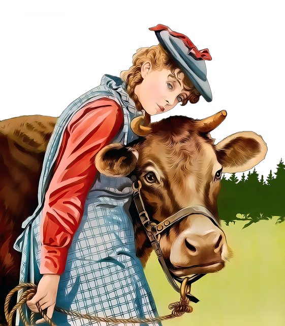 Shola Davis tweet media