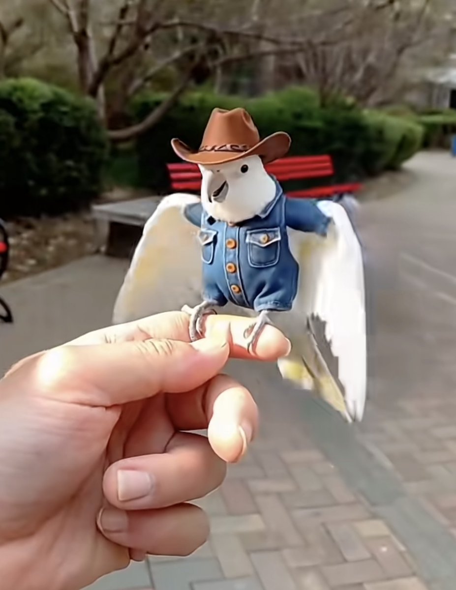 Brianna Chan tweet media