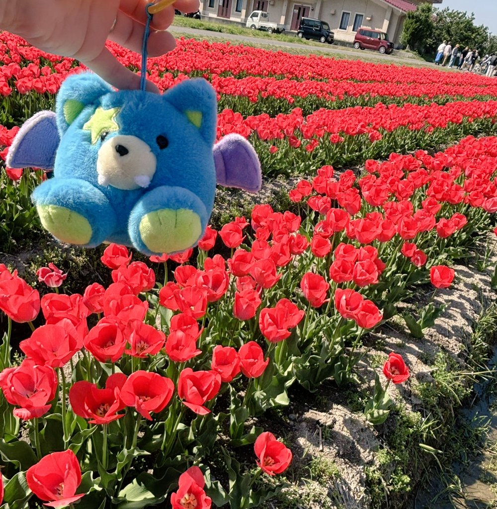 nanacoco71035's tweet photo. 제이가 행복하게 넘치는 1년이 되길 바랍니다. 생일 축하합니다.항상 웃음을 주셔서 감사합니다. 사랑해.
🎈🎂🎉🎈🎂🎉🎈🎂🎉🎈

#HAPPY_JAY_DAY
#ENHYPEN
#JAY https://t.co/kVhKtVdR2a