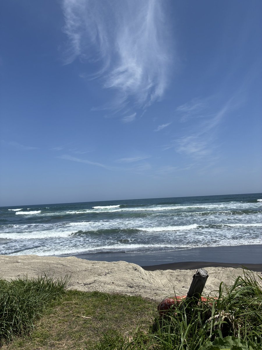 DimancheCafe's tweet photo. 今日も夏☀️日よりです。今年は暑い夏になり��うですね。 https://t.co/OGBy78Ra1M