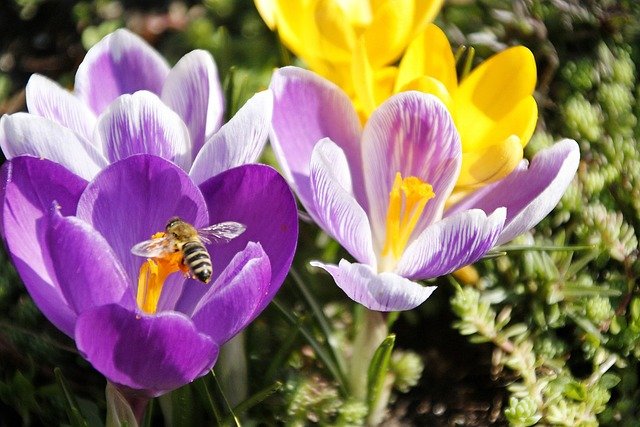 Wendy Hollandsworth tweet media