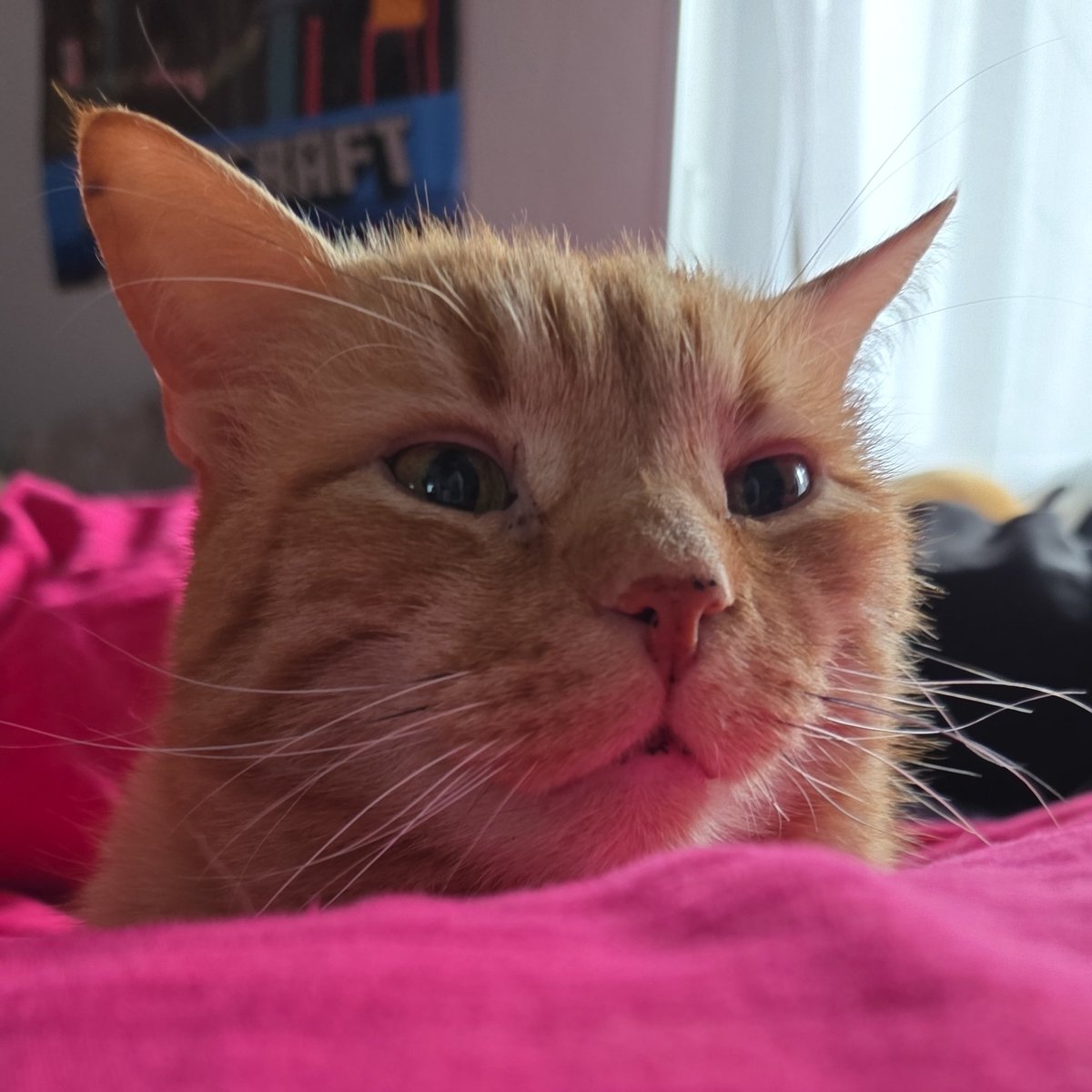 ₊✮rira✮₊ tweet media