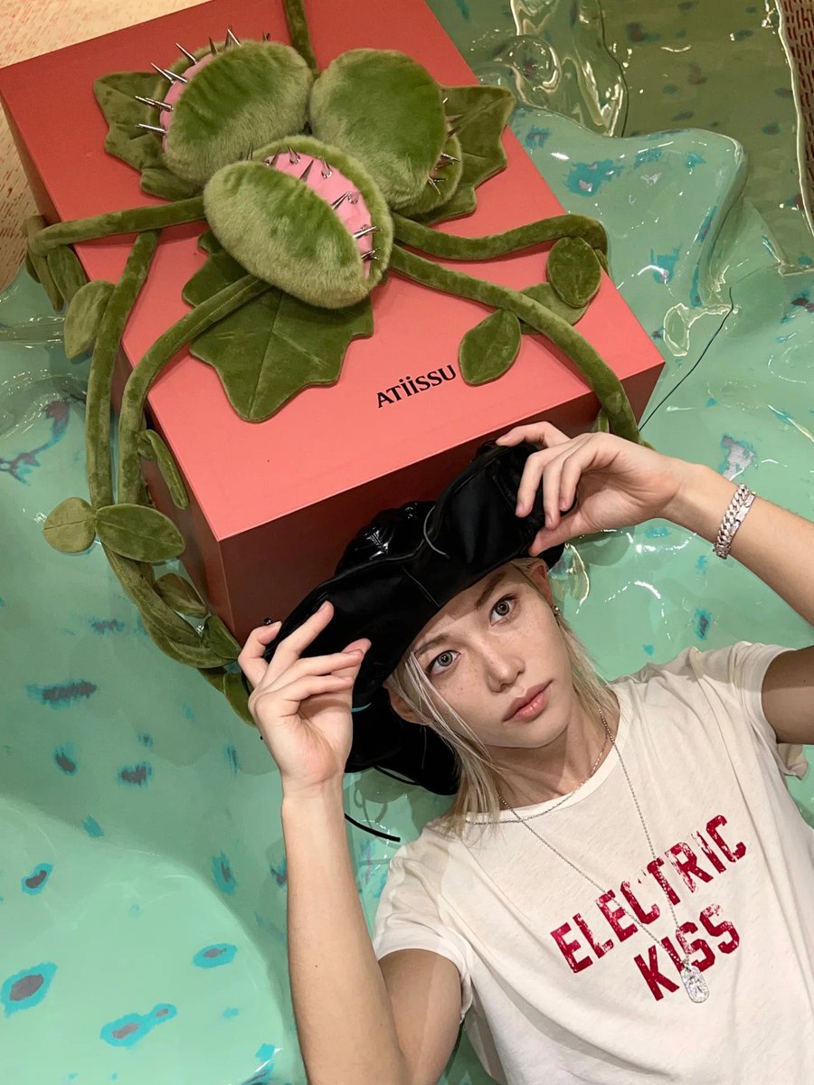 비니 tweet media