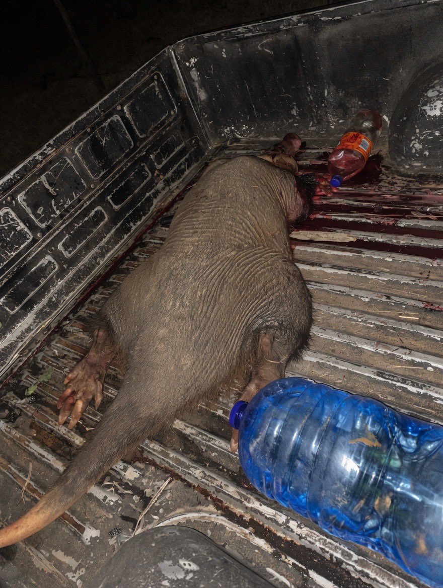 Born-in-SA🇿🇦 tweet media