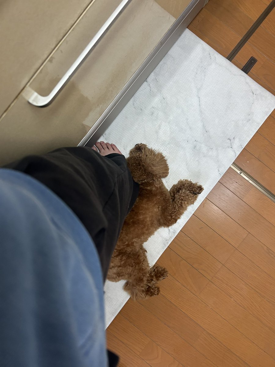 たいち tweet media