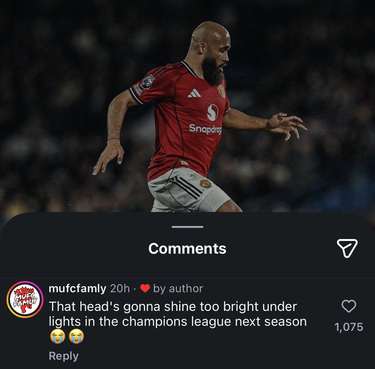 (fan) Frank 🧠🇾🇪 tweet media