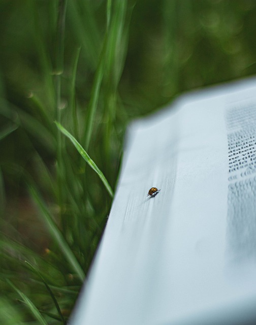 Jessica Johnson tweet media